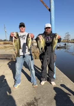 Click to view IMG_0628.jpg