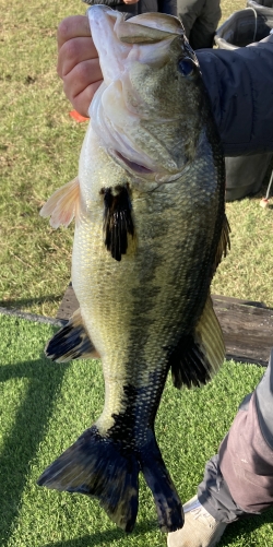 Click to view IMG_0019.JPG