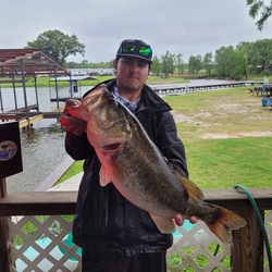 Big_bass