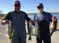 Click to view IMG_0031.jpg