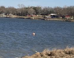 Click to view IMG_0073.JPG