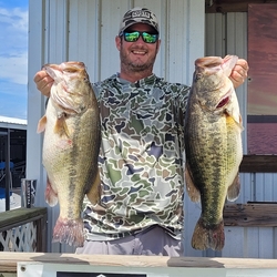 Big_bass