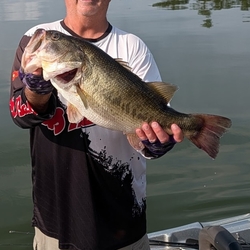 Big _bass