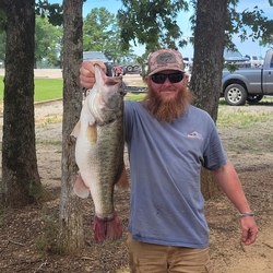 2nd_bigbass